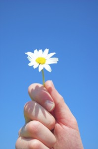 'For you...' Free yourself from self sabotaging behaviours as you embrace a new way of looking at the qualities you most want to attract in your life.