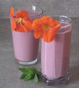 005-smoothie while sipping one of my favourite smoothies, I noticed just how much smoothies and life coaching have in common