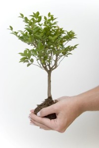 iStock_000001718422Medium-tree asking for help has become a lot easier for her since receiving my life coaching services