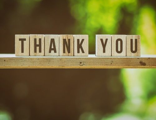 5 Wonderful Ways to Lean into Gratitude on Your Career Clarity Journey